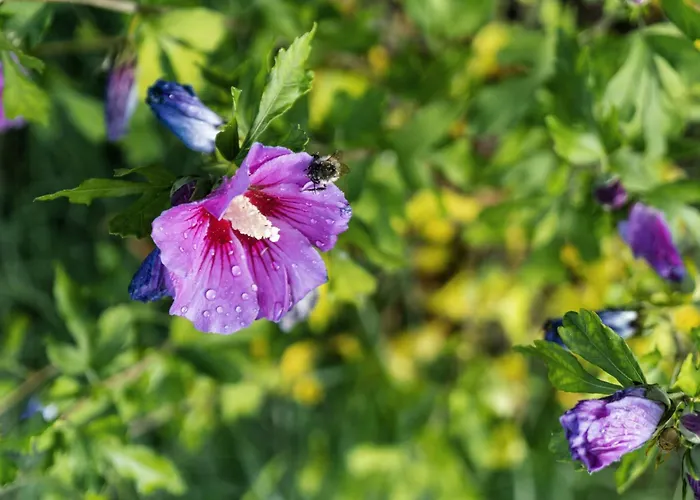 Σπίτι διακοπών 